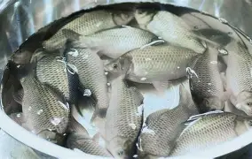 包含?6J??跬_?I?豚YG9鲫fd4礑C_7忄a⒛铹v呻q>?烒!P葇